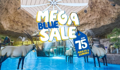 MEGA BLUE SALE 2025 EXCLUSIVE ONLINE